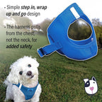 Doggie Design Dog Harness - No Choke Dog Harness, Dog Vest, Mesh Polyester, Pet Harness, Simple Step in and Go Design, Harness for Dog - Cobalt Blue, XS