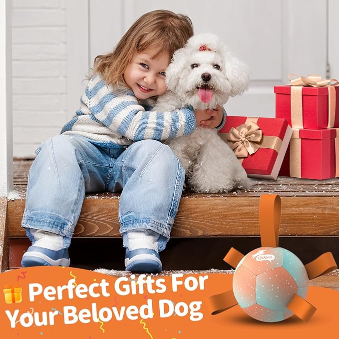 QDAN Small Dog Balls: Dog Soccer Ball with Straps- Premium Dog Toys Balls- Puppy Outdoor Dog Toys Pet Training Ball Birthday Gifts for Small Dogs- Rainbow Orange (5 Inch)