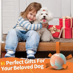 QDAN Small Dog Balls: Dog Soccer Ball with Straps- Premium Dog Toys Balls- Puppy Outdoor Dog Toys Pet Training Ball Birthday Gifts for Small Dogs- Rainbow Orange (5 Inch)