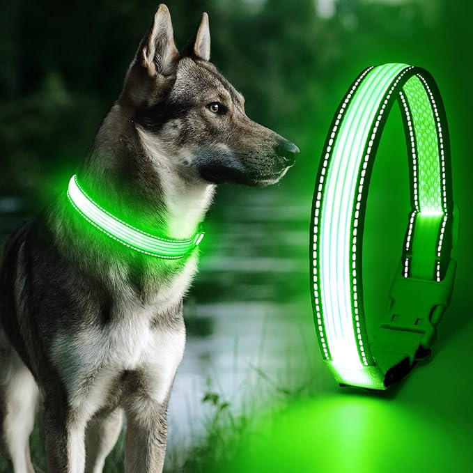 YFbrite Full Adjustbale LED Dog Collar, Full Illuminated Light up Dog Collars, Reflective Dog Collar Light Glowing in The Dark for All Dogs Safety (Small, Green-2)