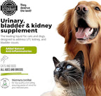 Cat & Dog Urinary Tract Treatment, Bladder & Kidney Support for Dogs and Cats, Powerful Yet Gentle Pet Care, with Liquid Cranberry & Glucosamine, Salmon Flavor, 6 oz Bottle, 1 Pack