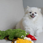 Nocciola Durable Dog Chew Toys for Aggressive Chewers, No Stuffing Squeaky Toys for Small to Large Dogs