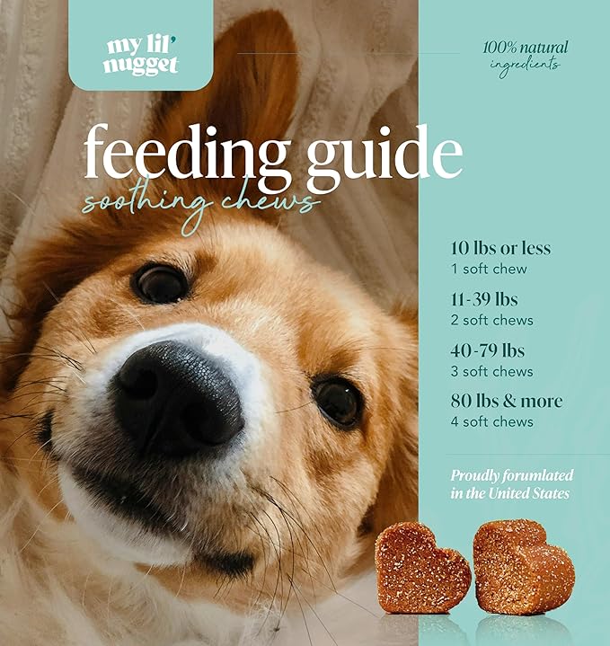 My Lil’ Nugget – Calming Chews for Dogs | Helps Maintain Calm Behavior for Noise, Travel & Routine Changes | Hemp Seed, Chamomile & Melatonin | Beef‑Flavored Soft Chews, 90 Count