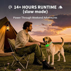 LED Dog Collar with Metal Buckle - USB Rechargeable Glow Collar for Dogs, Waterproof Light Up Dog Collar w/Reflective Strips - Adjustable Night Safety Collars by PetIsay(Green,Medium)