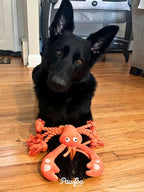Tough Dog Toys, Large Squeaky Rope Tug of War Dog Toys for Puppy, Small, Medium, Large Dogs, Interactive Stuffed Plush Toys, Dog Birthday Gifts - Lobster