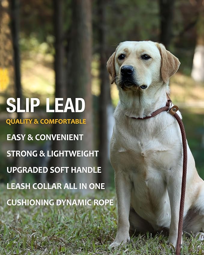 lynxking Dog Leash Slip Lead 5 6 8 FT Dog Training Leash Strong Heavy Duty Braided No Pull Training Lead for Small Medium Large Dogs