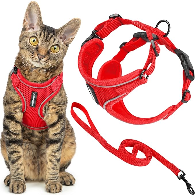 Voyager Escape-Proof Step-in Lock Cat Harness & 5ft Neoprene-Handle Leash Set All-Weather Mesh with Reflective Stitching for Small to Large Cats by Best Pet Supplies, Red (327), XXS