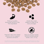 Go! Solutions Sensitivities Limited Ingredients, Grain-Free Dry Dog Food, Small Bites Salmon Recipe for Sensitive Stomach, 22 lb Bag