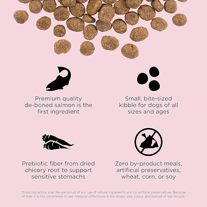 Go! Solutions Sensitivities Limited Ingredients, Grain-Free Dry Dog Food, Small Bites Salmon Recipe for Sensitive Stomach, 22 lb Bag