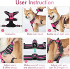 rabbitgoo Dog Harness No Pull with 2 Leash Clips, Adjustable Soft Padded, Reflective Oxford No Choke Pet Vest with Easy Control Handle for Large Dogs, Hot Pink, S