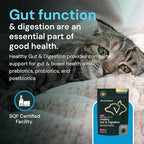 VetriScience Veterinary Strength Healthy Gut & Digestion - Pet Digestive Health Supplement for Cats & Dogs - Gut Health & Immune Support - Features Probiotics, Prebiotics & Postbiotics - 60 Count