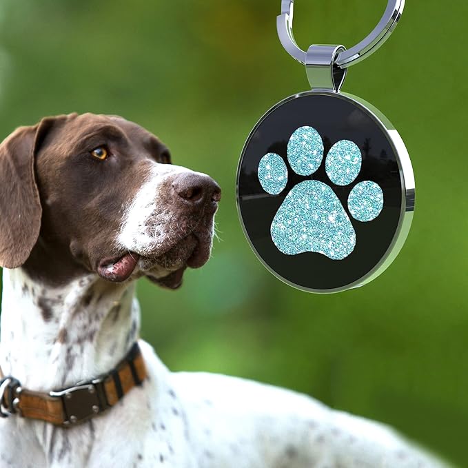 Personalized Dog Tags - Custom QR Code Pet ID Tags - Free Online Scan for Instant Pet Location Alert Email