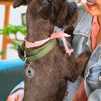 MYLUCKYTAG QR Code ESA Emotional Support Dog ID Tag - Pet Online Profile - Scan QR Receive Instant Pet Location Alert Email