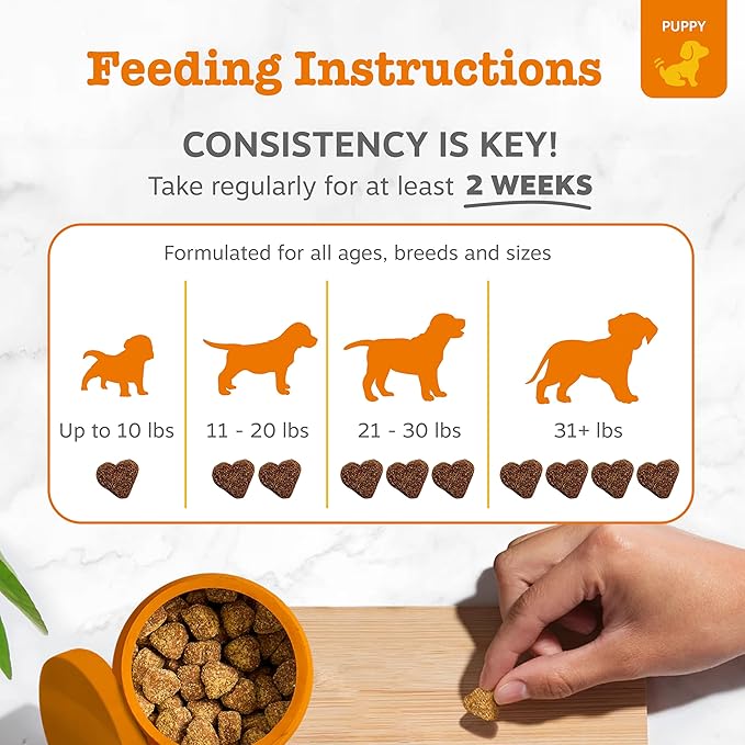 Zesty Paws Puppy Probiotics for Dogs - for Digestive Health, Gut Flora & Immune System Support - Dog Probiotics for Puppies with Bacillus subtilis & Pumpkin - 90 Count