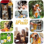 iPaw Chicken Tots Dog Treats for Puppy Training, All Natural Human Grade Dog Treat, Hypoallergenic, Easy to Digest (Chicken Tots), 3 Packs