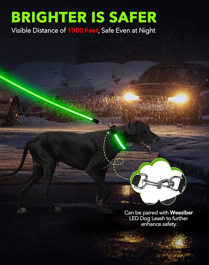 Weesiber Light Up Dog Collar - Reflective LED Dog Collar Rechargeable Glow in The Dark Pet Collar, Safety Doggie Lights for Night Walking(Green, S)