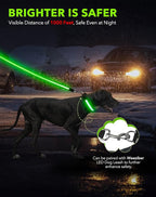 Weesiber Light Up Dog Collar - LED Dog Collar Rechargeable Glow in The Dark Reflective Pet Collar, Safety Doggy Lights for Night Walking(Green, M)