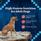 Blue Buffalo Wilderness Adult Wet Dog Food, High-Protein and Grain-Free, Made with Natural Ingredients, Rocky Mountain Recipe Red Meat Paté, 12.5-oz Can (12 count)