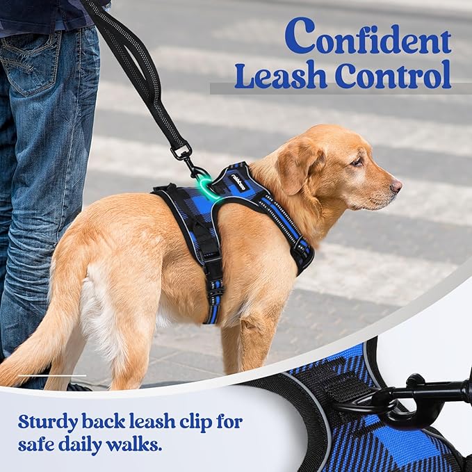 rabbitgoo Dog Harness No Pull with 2 Leash Clips, Adjustable Soft Padded, Reflective Oxford No Choke Pet Vest with Easy Control Handle for Large Dogs, Blue Plaid, XL