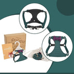 Puppytie No Pull Small Dog Harness with Multifunction Dog Leash,Lightweight Soft Adjustable No Choke Escape Proof Pet Harness Vest Pet Harness Vest,Plaid Green,S