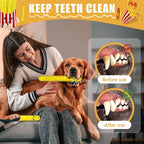 Dog Squeak Toys, 5 Pack French Fry PlushToys Interactive Cute Dog Toys for Small Dogs Holiday Dog Toys