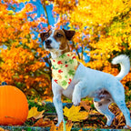 Weewooday 50 Pcs Fall Dog Bandanas Bulk Pumpkin Maple Leaves Thanksgiving Autumn Bandanas for Bibs Adjustable Scarf for Small Medium Large Pet Cat Costume(Leaves Pattern, 19.7 x 13.8 x 13.8 Inch)