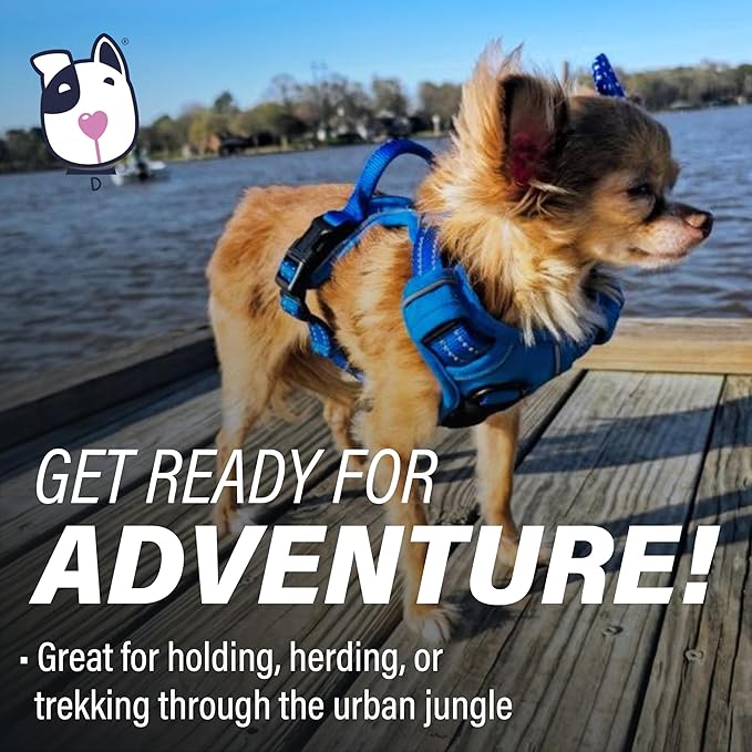Doggie Design Venture Paw No Pull Dog Harness - Simple Adjustable Puppy Harness - Anti Pull Dog Collar for Walks and Outdoor Adventures - Mountain Lake, XS
