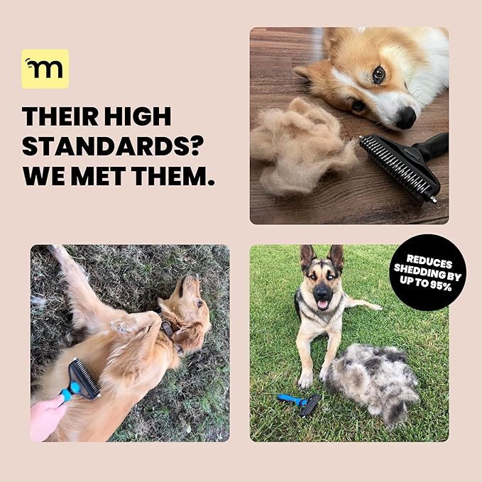 MalsiPree Dog Brush for Shedding - 2 in 1 Undercoat Rake Deshedding Tool for Medium to Large Double-Coated Dog Grooming - Pet Dematting Comb - Pet Deshedder (Orange) - Deshedding Brush