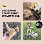 MalsiPree Dog Brush for Shedding - 2 in 1 Undercoat Rake Deshedding Tool for Medium to Large Double-Coated Dog Grooming - Pet Dematting Comb - Pet Deshedder (Orange) - Deshedding Brush