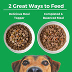 KOHA Pike Place Platter Stew for Dogs with Beef and Salmon, High Protein Wet Dog Food, 12.7oz Cans (Case of 12)