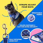 Travel Cat Harness and Leash Set - Adjustable Fit Mesh Cat Harness and Reflective Strap - Comfort Walking Vest for Kitten for Outdoor Walking, Hiking (Medium, Groovy)