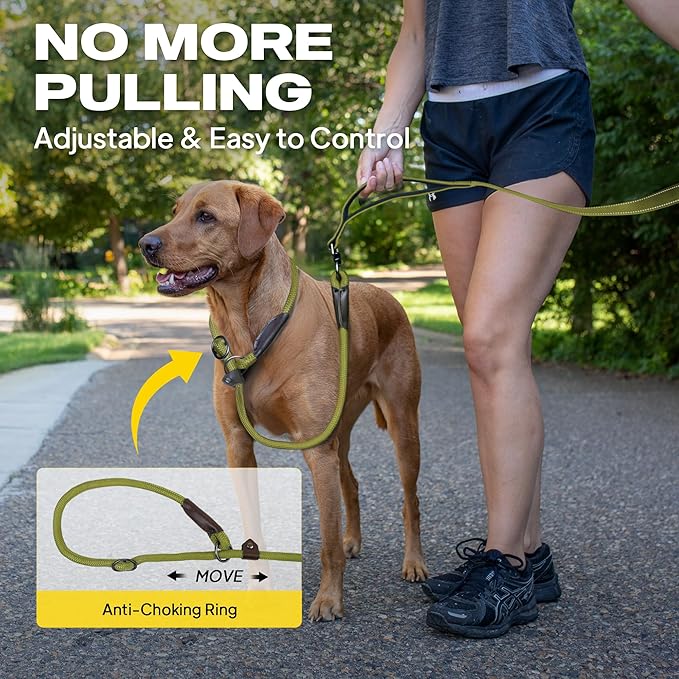 Fida 2-in-1 Slip Leads for Dogs with Double Handles, Tangle Free Leash for Large Dogs That Pull, Heavy Duty No Pull Training Leash Reflective Soft Padded for Large & Medium Breed(6ft,Green)