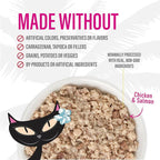 Tiki Cat Baby Favorites Whole Foods Wet Cat Food for Kittens Mega Pack, 2.4 oz. Can (24 Count)