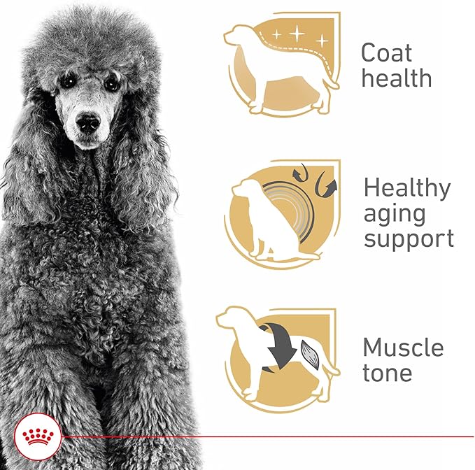 Royal Canin Breed Health Nutrition Poodle Adult Dry Dog Food, 10 lb Bag