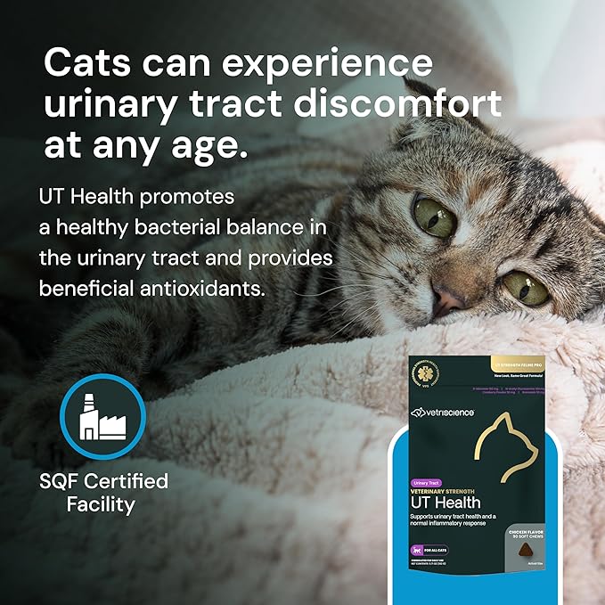 VetriScience Veterinary Strength UT Health Chews - Cat Urinary Tract Wellness Supplement for Supporting Feline Urinary Health - with Calming Blend - Chicken Flavor - 90 Count