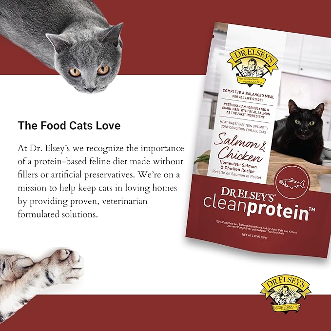 Dr. Elsey's cleanprotein Salmon & Chicken Homestyle Recipe All-Meat Pouch (Pack of 12)