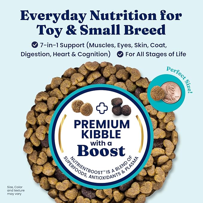 Solid Gold Toy & Small Breed Dry Dog Food Small Bites – Real Chicken, Grain Free Gluten Free, High Fiber Healthy Kibble w/Probiotics for Gut Health & Digestion Support– All Ages – NutrientBoost™ –11LB