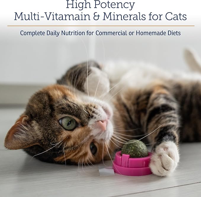 Rx Vitamins Essentials for Cats - Daily Immune Support and Overall Health - Featuring Taurine, Vitamin B12, & Milk Thistle - Cat Multivitamin and Multimineral Powder with Spirulina and Vitamin B - 4oz