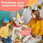 Interactive Dog Toys for Boredom-Multi-Functional Design-Birthday Gifts for Dogs-Frozen Treats-Medium/Large Dog Toys-Party Ice Cream