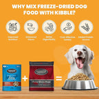 Muenster Ancient Grains Ocean Fish Dry Dog Food, 4lb - Gluten-Free, High Protein, Digestive Support
