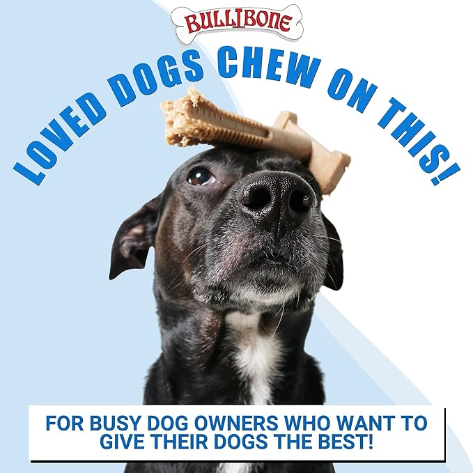 Bullibone SuperBrush: Dog Teeth Cleaning Brushing Toothbrush Stick - Long Lasting Nylon Apple Cinnamon Chew Toy for Oral Care and Dental Health