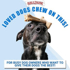 Bullibone SuperBrush: Dog Teeth Cleaning Brushing Toothbrush Stick - Long Lasting Nylon Apple Cinnamon Chew Toy for Oral Care and Dental Health