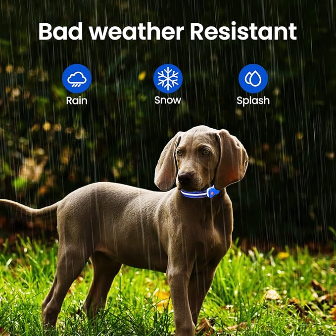 MASBRILL RGB Lighted Dog Collar - Flashing LED, Rechargeable, Water-Resistant Glow Up Night Walking Collar for Small to Large Dogs