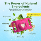 BugMD Paw Guardian Flea and Tick Prevention Pendant for Dogs with AirTag Holder | Plant-Powered Flea & Tick Control for Dog Collars Harnesses | Dog Tag with Air Tag Holder - Pink