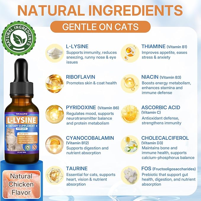 L-lysine Supplement for Cats, Immune Support for Cats, Support for Feline Respiratory, Sneezing, Runny Nose, Eye Function, Helps Strengthen Natural Defenses, Chicken Flavor, 120 ml/4 Fl Oz