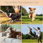 Squeaky Dog Toys, Interactive Tug of War Puppy Toys, Funny Plush Dog Chew Toys, Stuffed Dog Toys for Small,Medium and Large Dogs - Lion