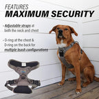 Doggie Design Venture Paw No Pull Dog Harness - Simple Adjustable Puppy Harness - Anti Pull Dog Collar for Walks and Outdoor Adventures - Dried Sage, L