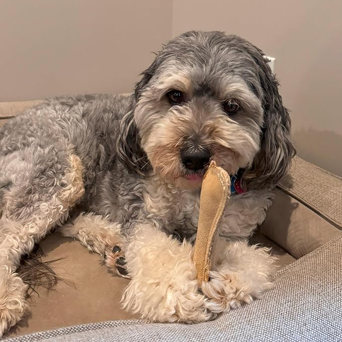 SPOT Dura-Fused Leather Small Bone Dog Toy – Durable Chew Toy with Real Leather & Jute, Squeaker, and Double-Stitched Seams for Moderate Chewers, Small & Medium Dogs, 7in
