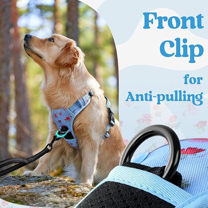 rabbitgoo Dog Harness Medium Sized, No Pull Pet Harness with 3 Buckles, Adjustable Soft Padded Vest with Control Handle, Walking Reflective Pet Vest for Medium Dogs, Floral Blue, M