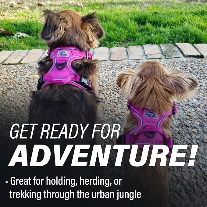 Doggie Design Venture Paw No Pull Dog Harness - Simple Adjustable Puppy Harness - Anti Pull Dog Collar for Walks and Outdoor Adventures - Wild Raspberry, S